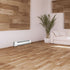 Electric Baseboard by King