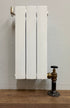 Blitz Steam Radiators for 1-Pipe or 2-Pipe Systems