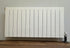 Blitz Steam Radiators for 1-Pipe or 2-Pipe Systems